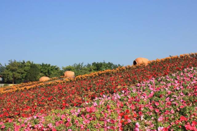 无锡星湖花海最新房价,无锡星湖花海旁的小趣事与家的温暖——最新房价背后的故事