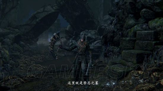 血源最新版本深度解析与观点探讨