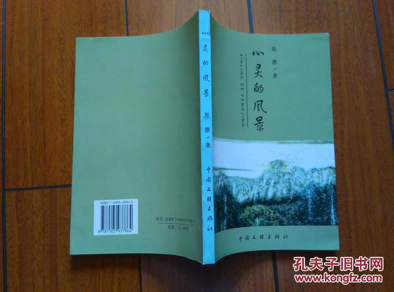 陆原小说最新阅读与创作任务指南