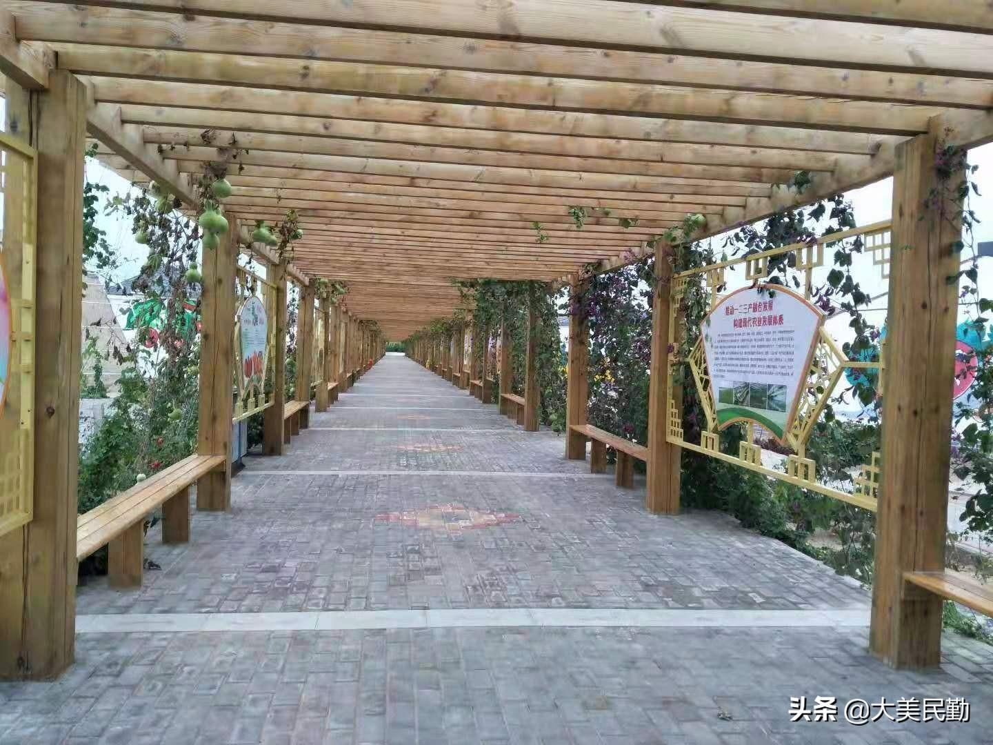 人参最新标准，科技与生活融合的高科技产品介绍