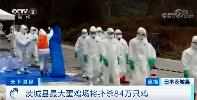 茨城最新疫情动态，学习变迁中的自信与成就力量