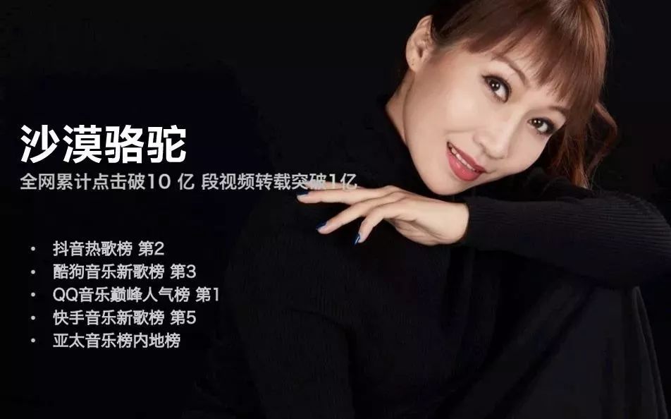 沈晓彤最新动态，现代影响力与争议全面解析