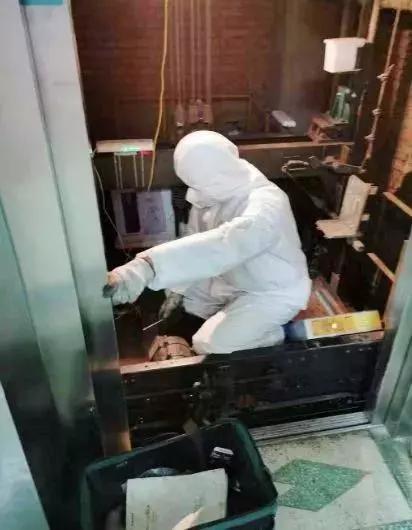全球肺炎疫情动态更新，最新发布与应对策略