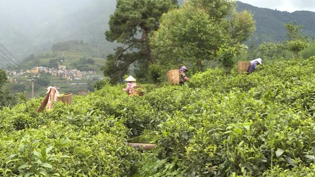 探寻人才新星，共筑辉煌未来——最新招聘启事
