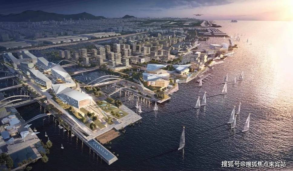 深赤湾A最新动态与消息速递📢🌊