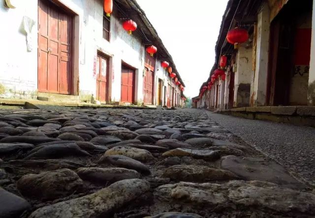 隐秘瑰宝