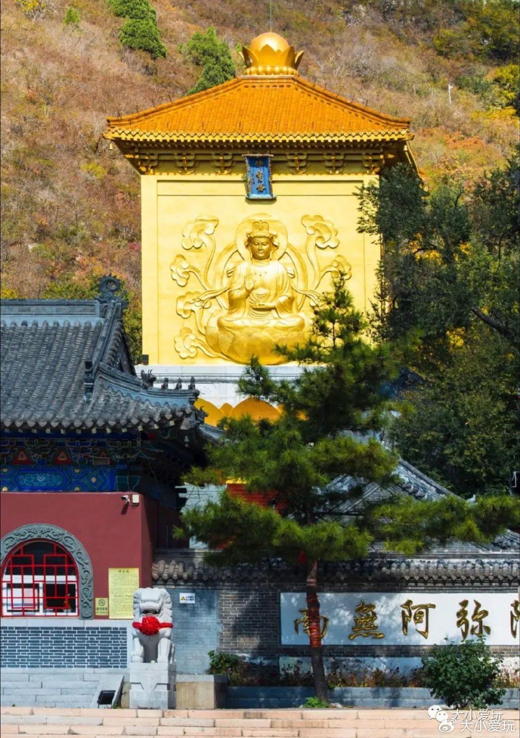 最新免费景区探秘，自然美景之旅，寻觅内心平和之地