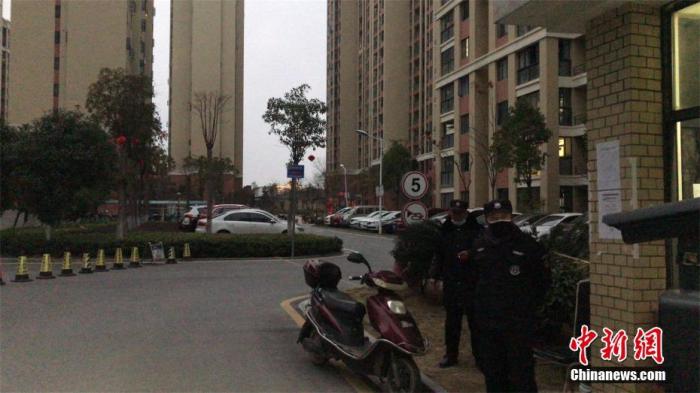 广岛市疫情下的隐秘魅力，小巷特色小店最新报道