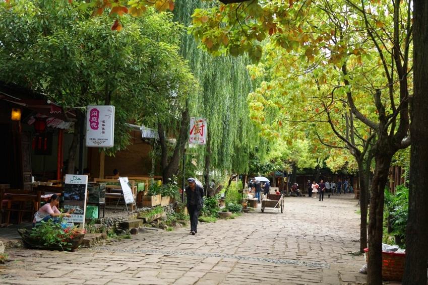 经典电视连续剧，小巷特色小店的奇妙故事与隐藏瑰宝