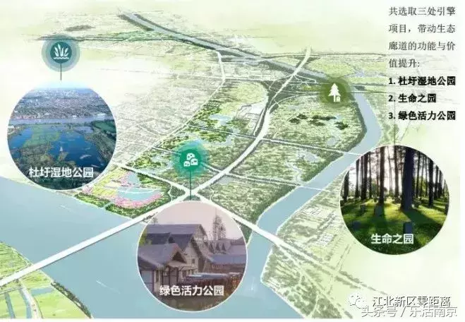 八卦洲最新规划详解，初学者与进阶用户的指南