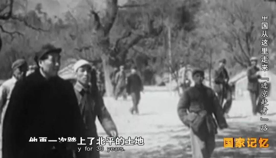 山东玉米今日行情变化，机遇与挑战并存，成就感的源泉之路
