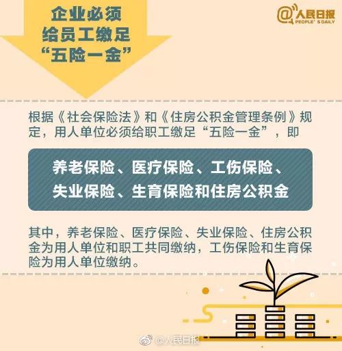 薛家湾最新招聘信息汇总及观点论述