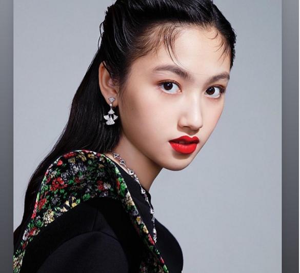 甄子丹最新动态，深度分析与观点阐述及其影响