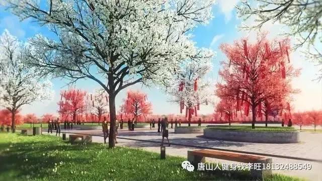 高科技产品