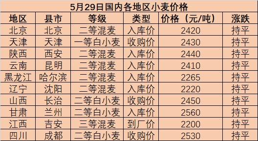 石家庄小麦最新价格行情指南