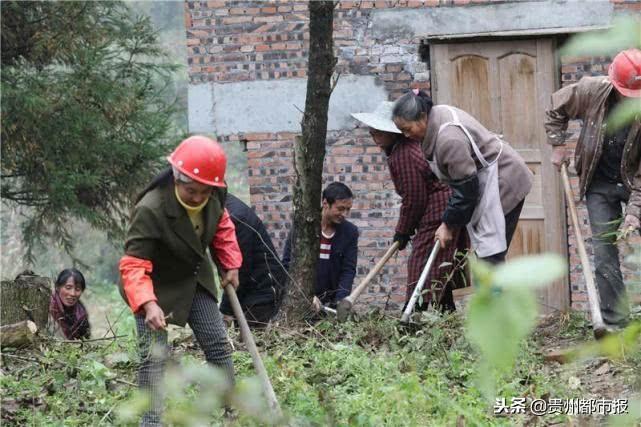 微七星关修路最新消息，热议中的道路建设项目进展报道