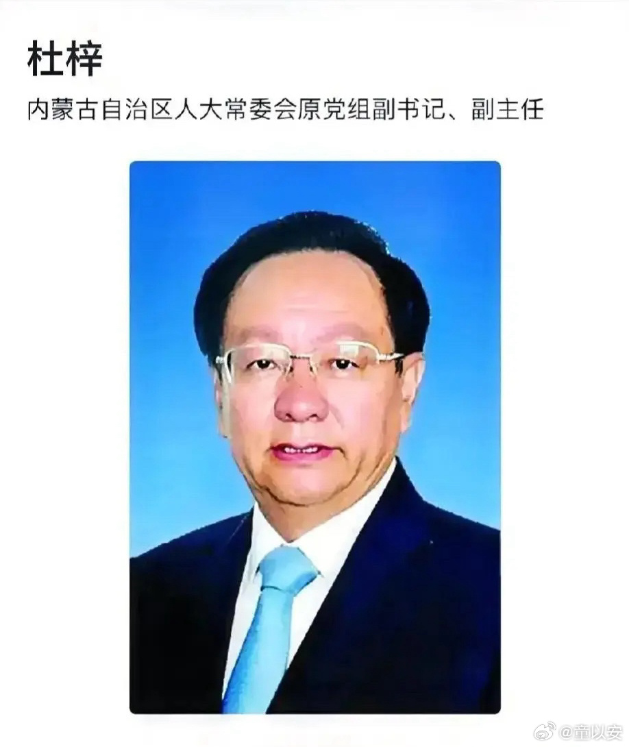重磅！69岁杜梓被捕事件回顾，背景、关键事件与深远影响
