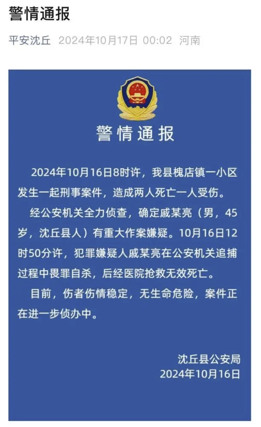 河南刑案致2死1伤嫌犯自杀身亡事件处理指南，事件回顾与应对步骤