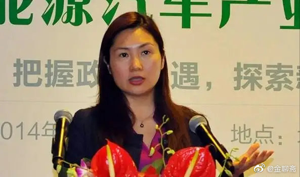 特斯拉陶琳深度解析某境外企业非法测绘事件，观点阐述与深度分析