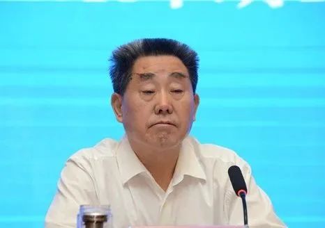 河南人大常委会原副主任刘满仓被查，昔日风采与情感纽带背后的故事揭秘