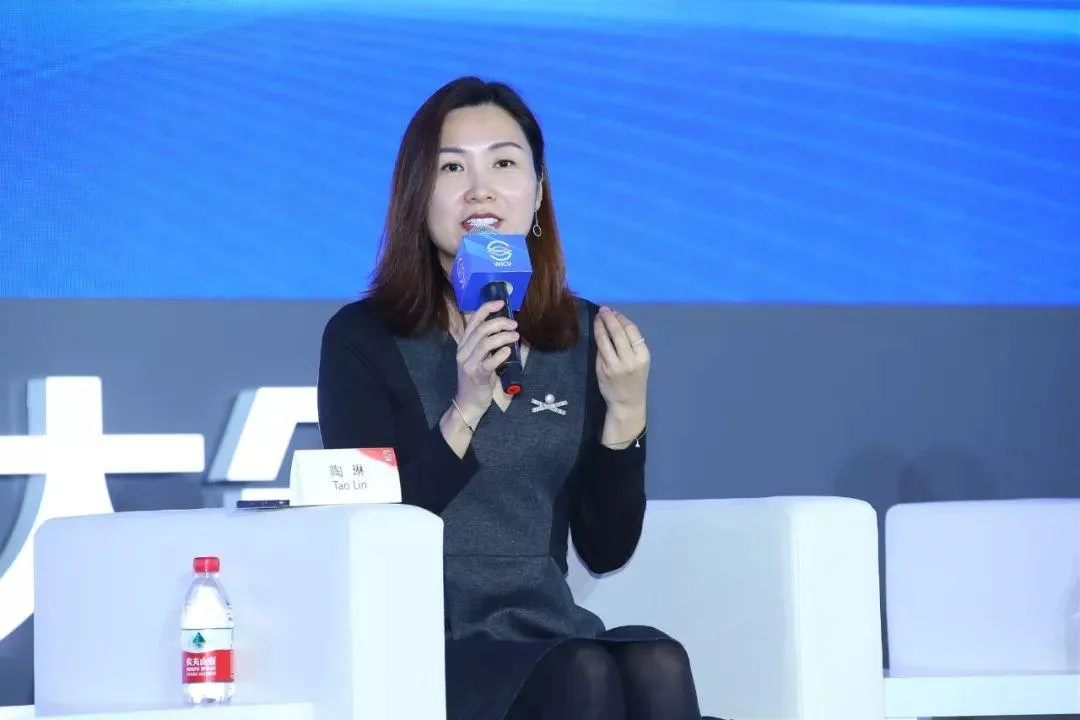特斯拉陶琳谈某境外企业非法测绘，揭示真相与心灵自然之旅的探寻