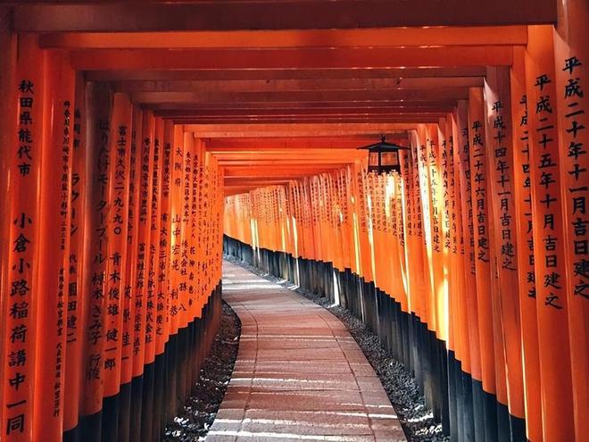 女网红在日本鸟居引体向上意外道歉背后的自然之旅探索