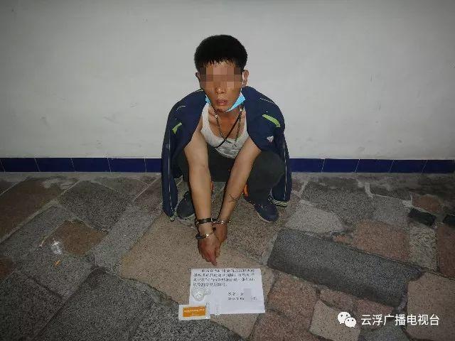 男子躲飓风丢下宠物狗引发五年监禁风险，事件背后的小巷特色小店揭秘