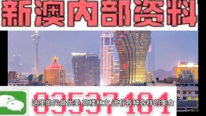新澳2024年精准资料,深入计划探讨解答解释_高级款34.387