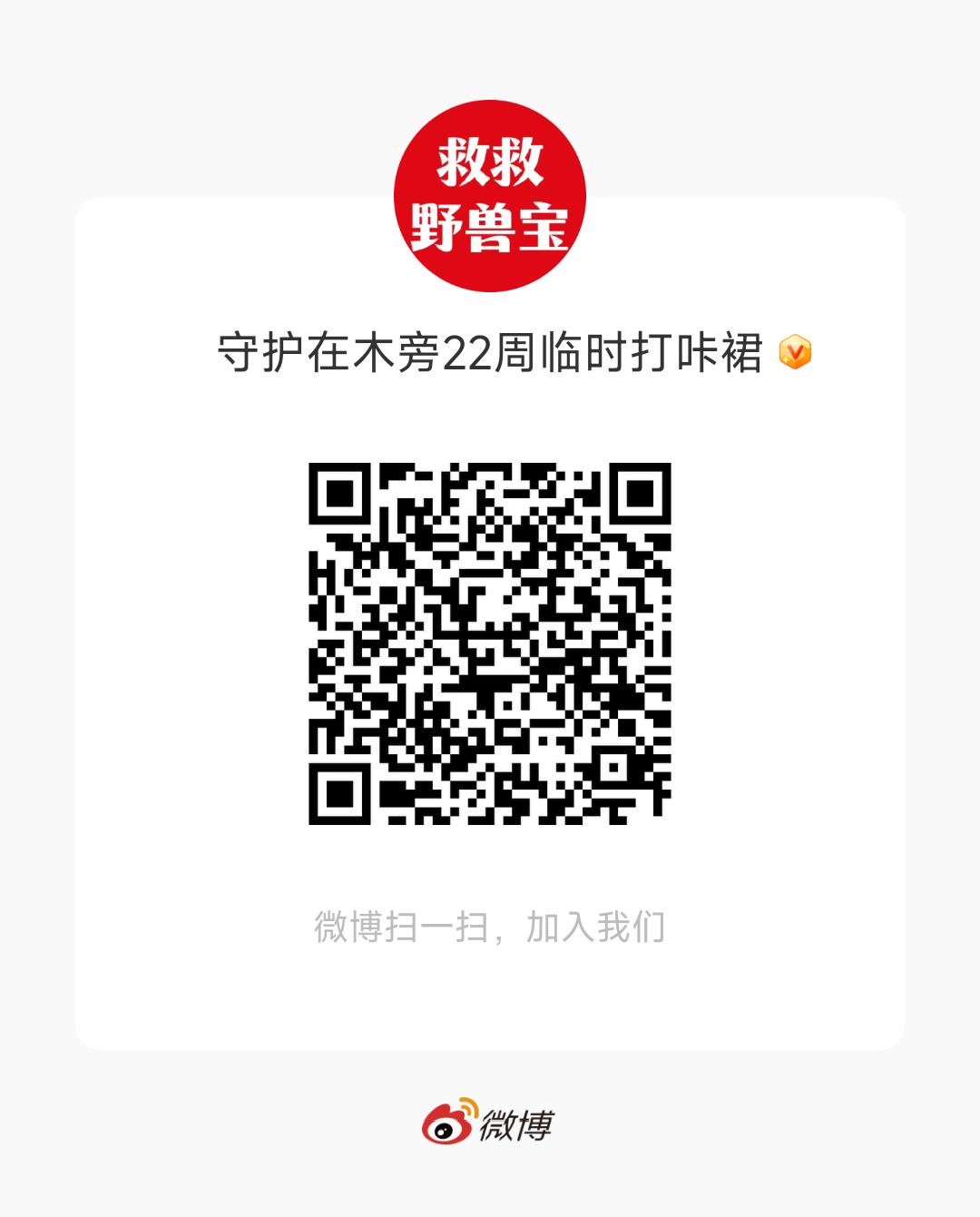 最准一肖一.100%准,证明解答解释落实_说明品28.458