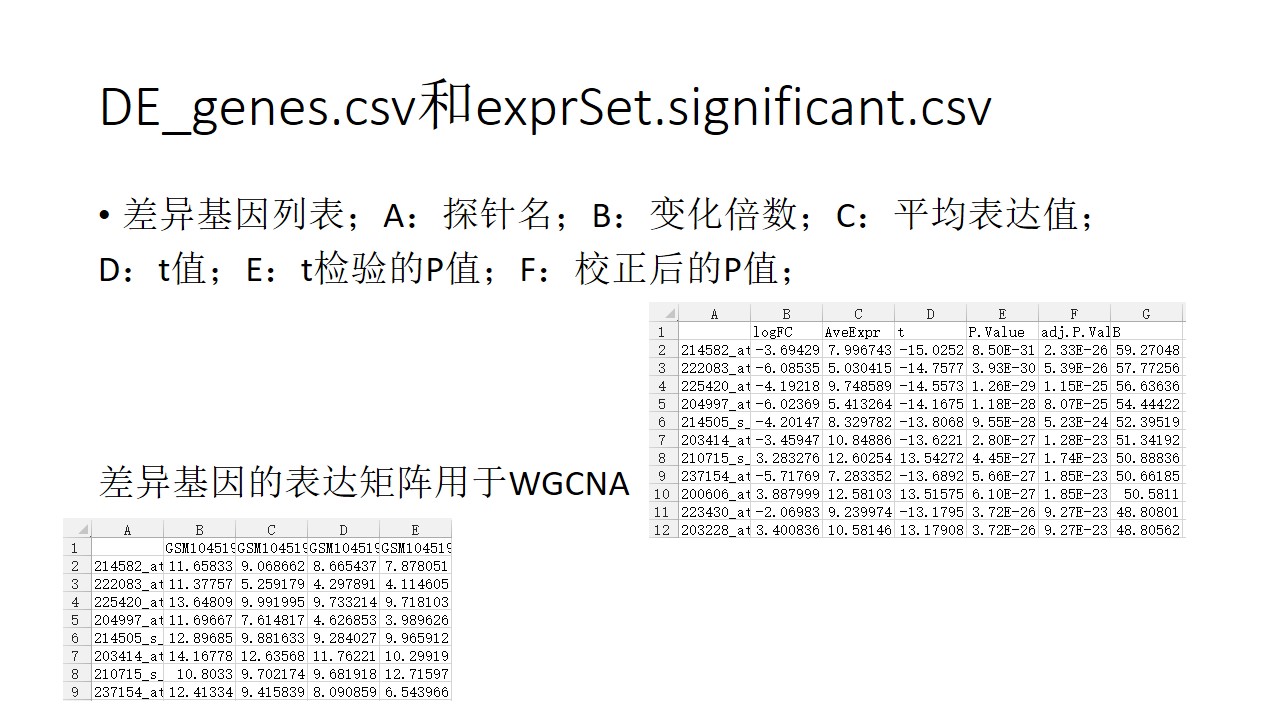香港4777777的开奖结果,批判解答解释落实_76.932