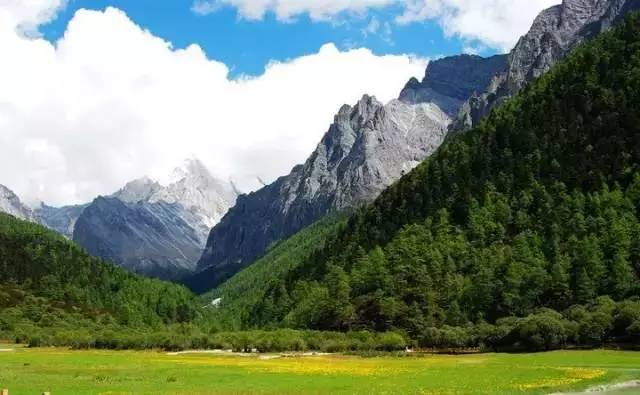 寻找内心平静的旅程，与你最新版下载的自然美景之旅探索