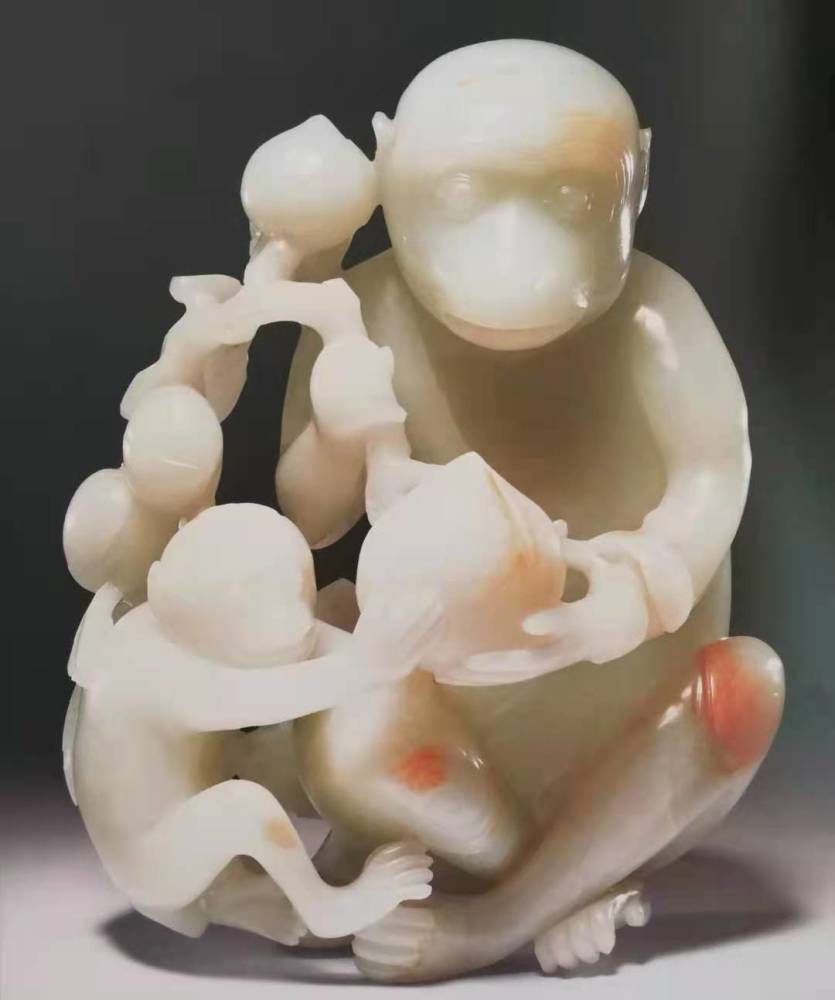 张金梅最新动态，时代之光下的耀眼明星
