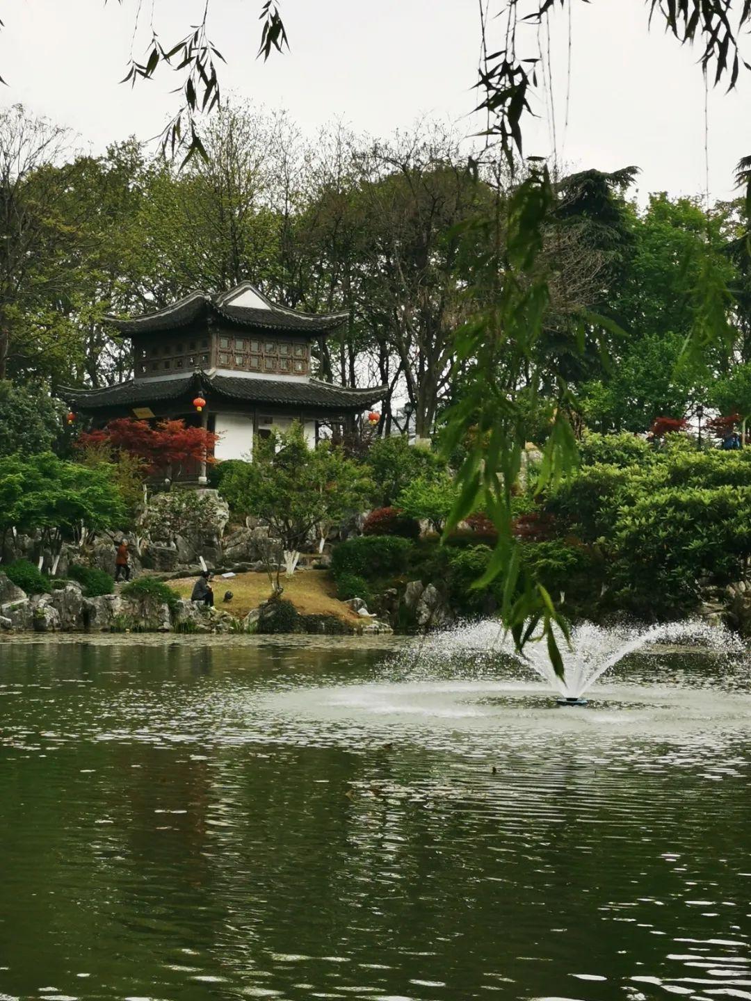 怪物猎人最新探索，自然美景的治愈之旅之旅