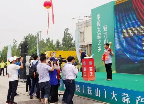 苍山大蒜价格最新行情深度解析及市场走势预测