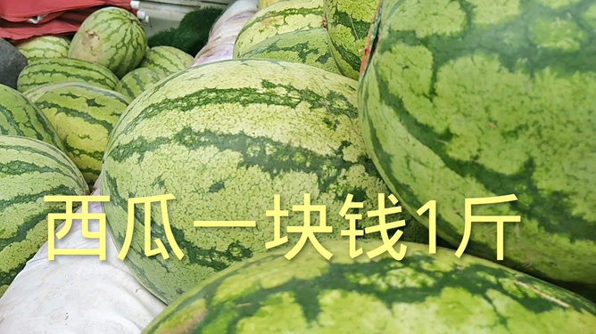 今日西瓜价格行情及自然美景旅行探索