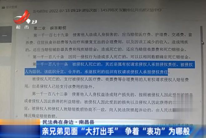 最新死亡赔偿金分配解析与探讨