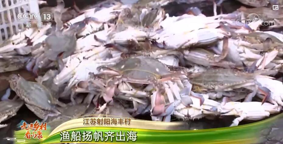 海丰县最新大项目启动，共创辉煌未来