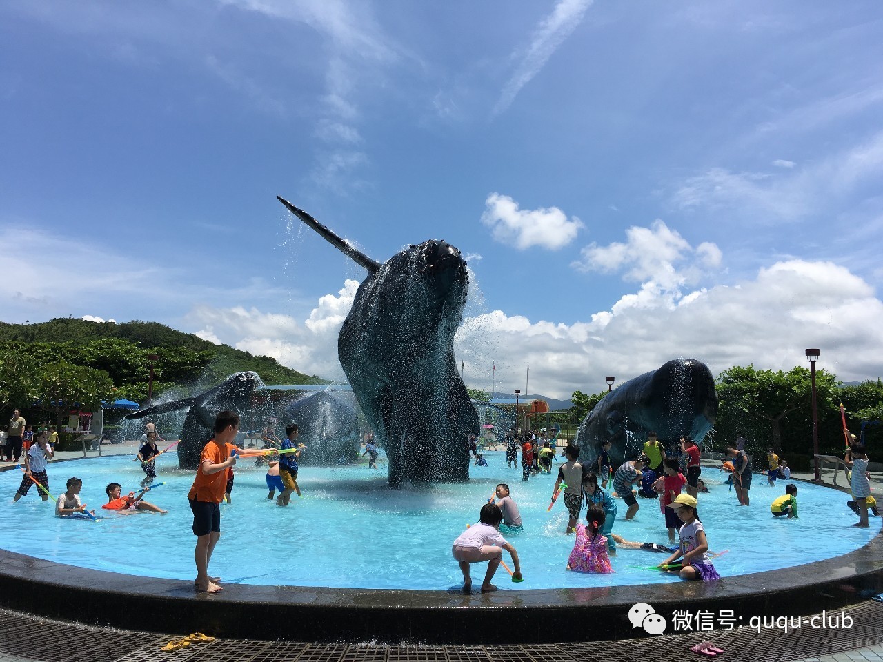 趣步最新动态，自然美景探索之旅，寻找内心平和与喜悦