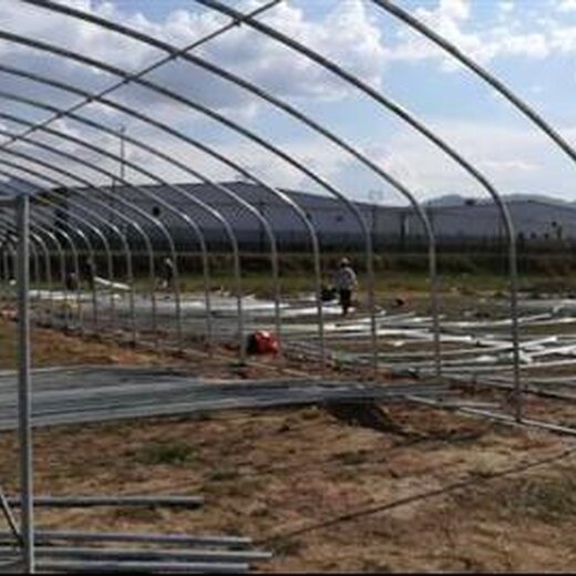 科技重塑农业，大棚钢管价格最新行情与未来体验的魅力