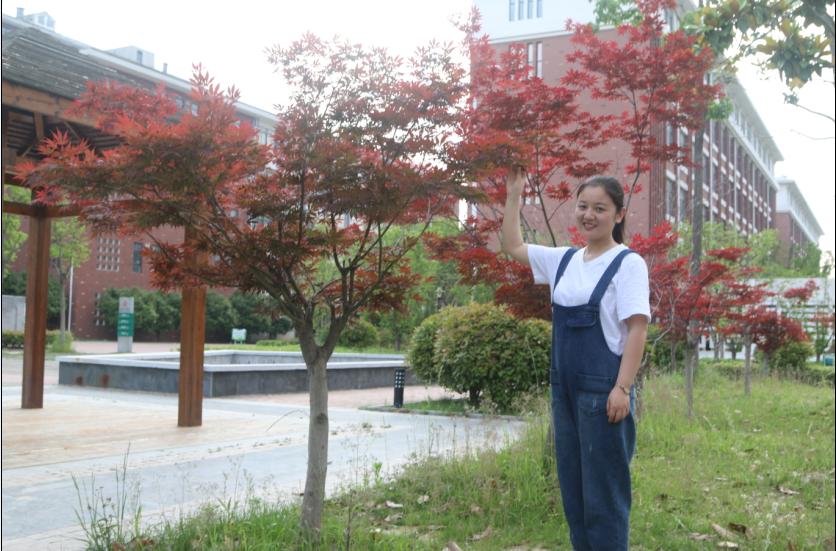 宿迁人才网最新招聘信息及步骤指南