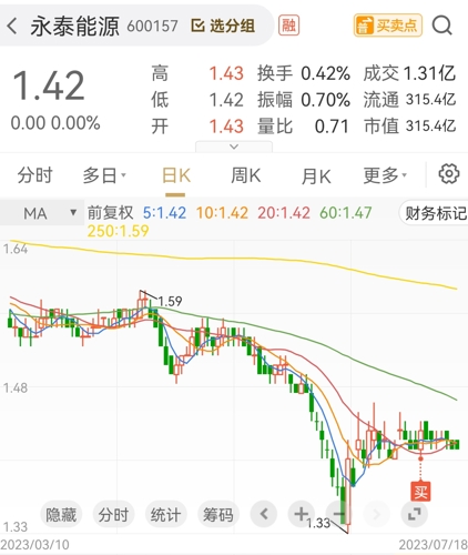 600157永泰能源最新消息,探索小巷深处的宝藏——永泰能源最新消息与隐藏的特色小店