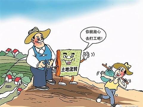农村合并政策最新动态报道