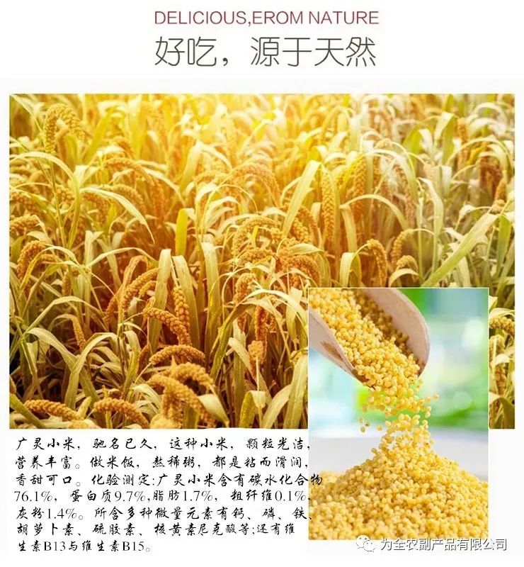 成龙最新动态揭秘，探索自然美景之旅，追寻内心平和宁静之道