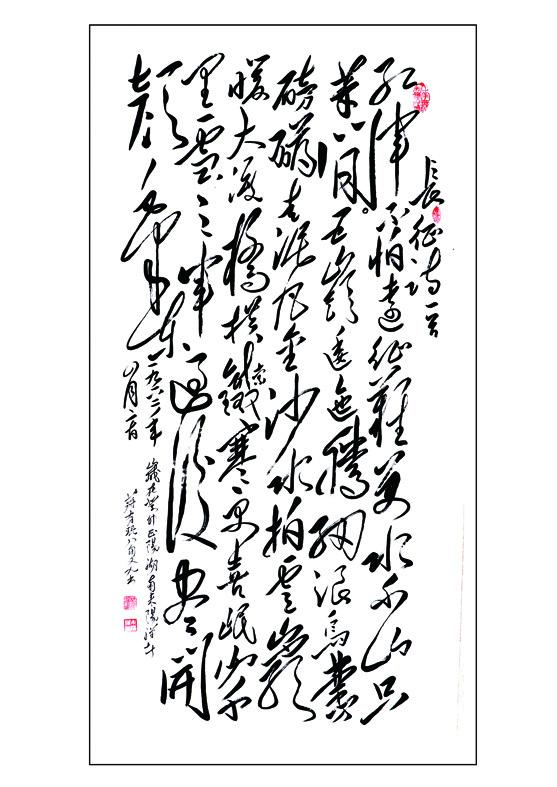 最新城市分级，跃动城市脉搏的励志之旅