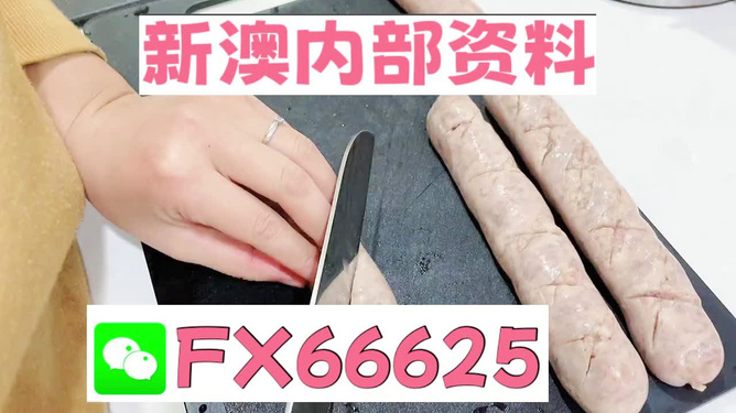 新澳精准资料免费提供510期,动态词语解释定义_安卓33.985