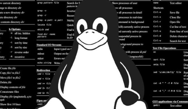 最新Linux内核版本下的温馨日常体验