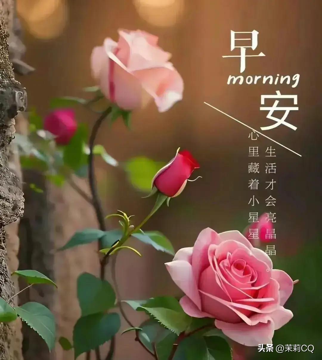 第4077页
