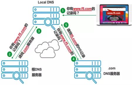 P站最新DNS解析，解锁新视界新体验