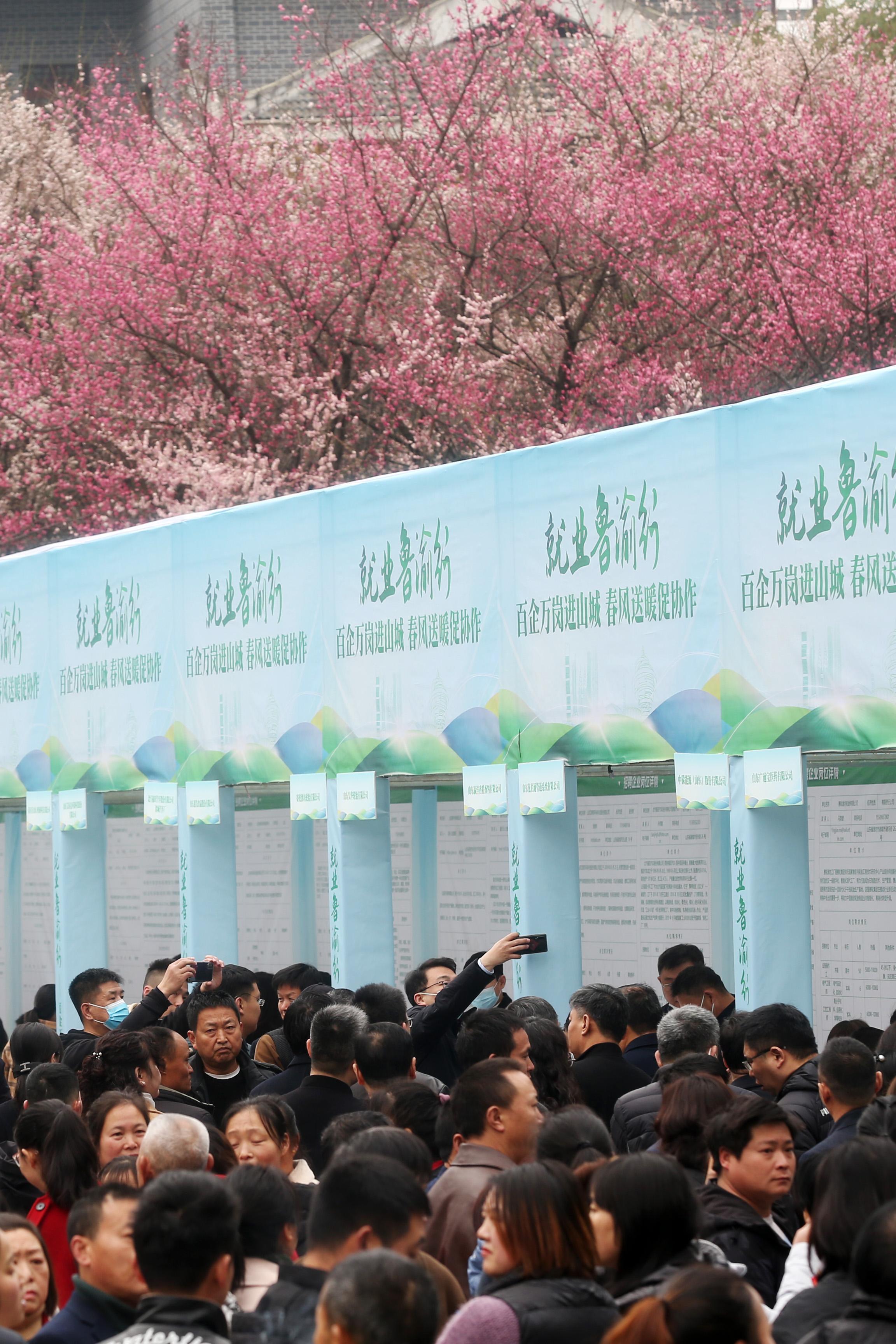 黔江在线最新招聘，求职全流程指南