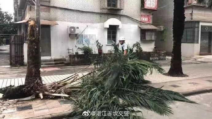 湛江市台风最新动态，风雨后的彩虹与学习的自信与成就感